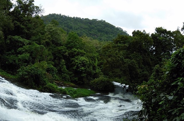 River running through tropical forest