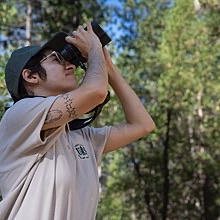 Field biologist scanning the canopy with binoculars